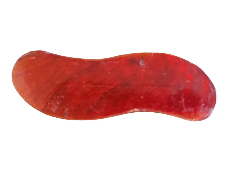 Shaped and coloured wooden handle